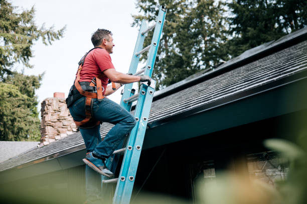 Steel Roofing in Emmonak, AK